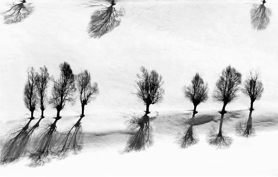 24-Frames-2-1024x576-2