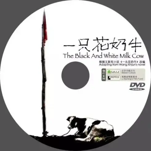 片场调研|杨瑾导演访谈