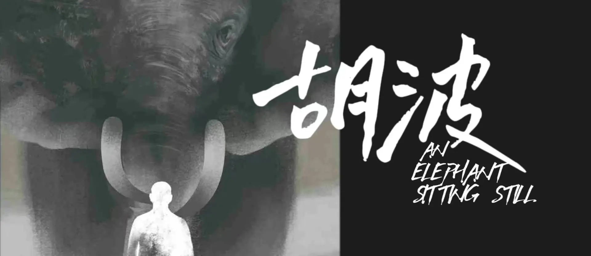 胡波｜我们惠存这重击