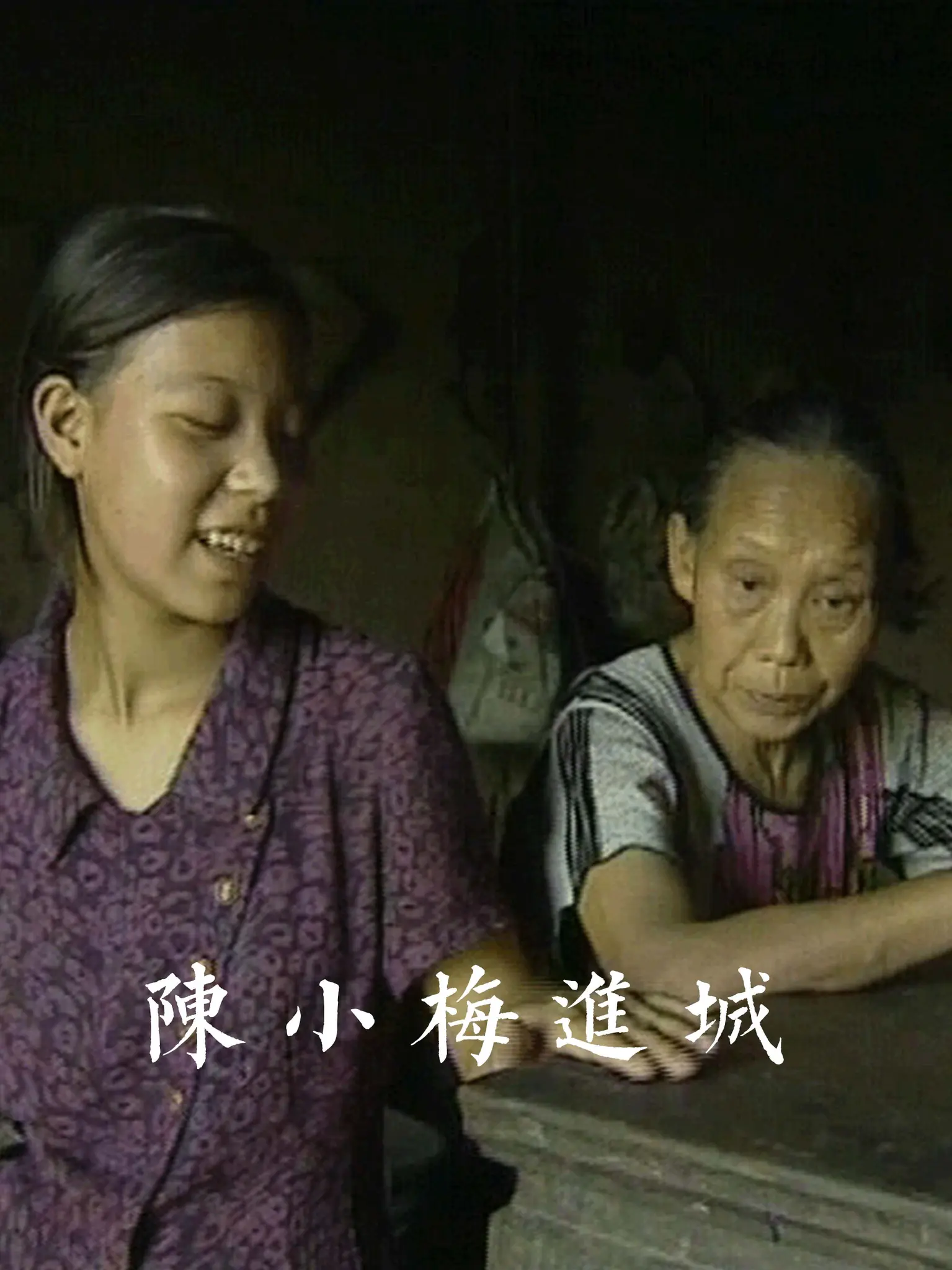 陈小梅进城