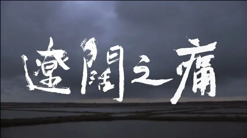 辽阔之痛