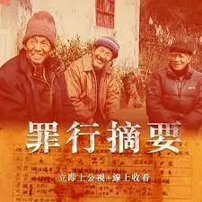 罪行摘要