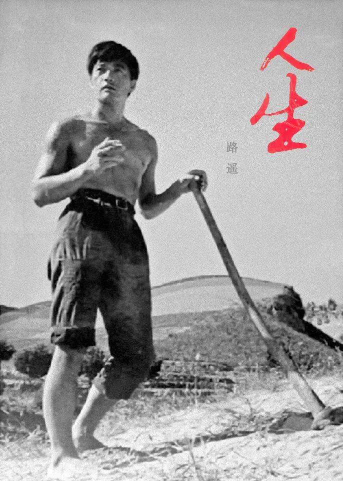 合集