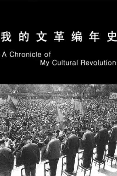 我的文革编年史